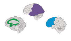Introduction to Universal Design for Learning (SWD)