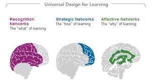 Universal Design for Learning (SWD)